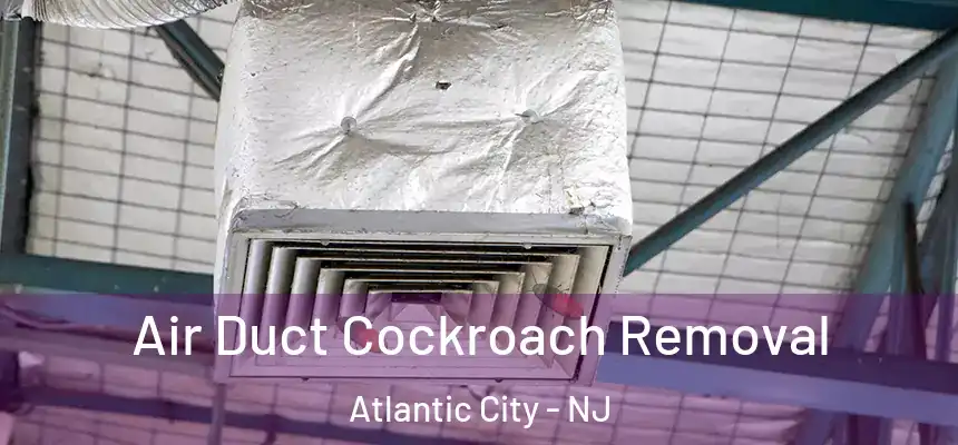 Air Duct Cockroach Removal Atlantic City - NJ