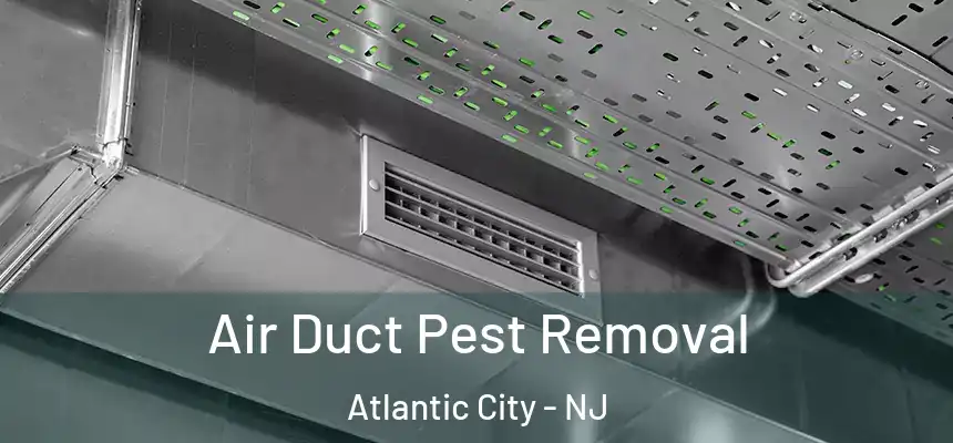 Air Duct Pest Removal Atlantic City - NJ