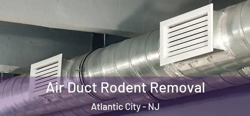 Air Duct Rodent Removal Atlantic City - NJ