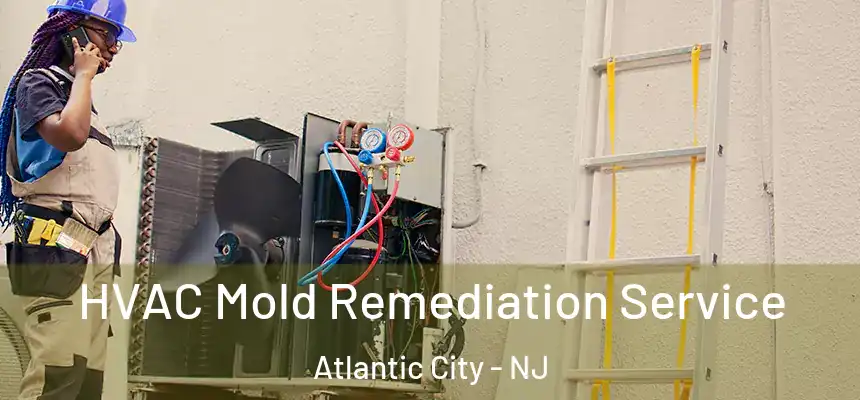  HVAC Mold Remediation Service Atlantic City - NJ