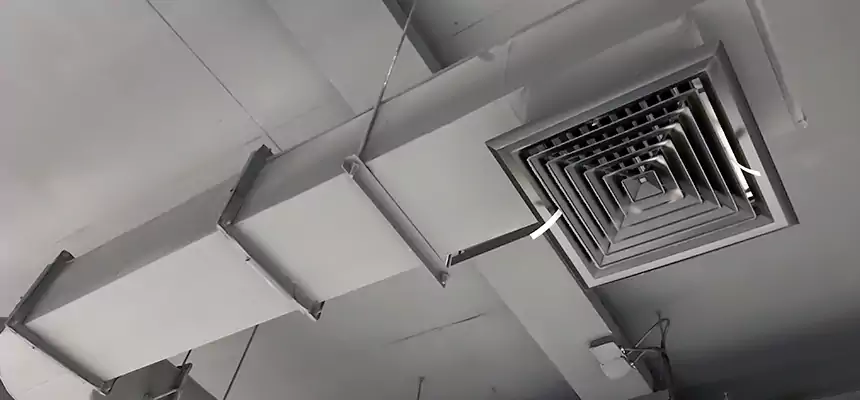 Our Pest Removal From Ducts Services in Atlantic City, NJ