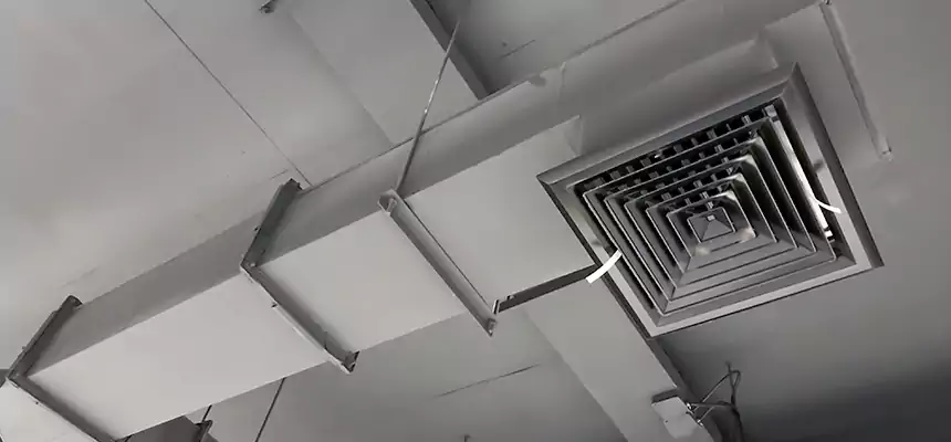 Our Rodent Droppings In Vents Services in Atlantic City, NJ