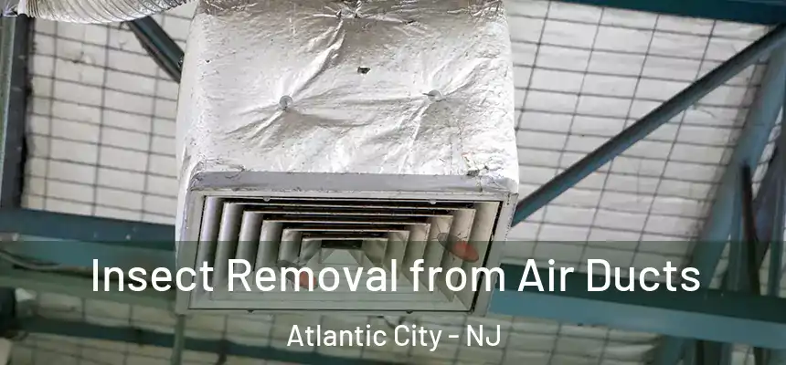 Insect Removal from Air Ducts Atlantic City - NJ