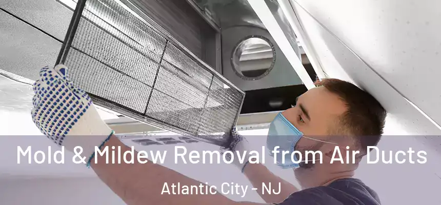 Mold & Mildew Removal from Air Ducts Atlantic City - NJ
