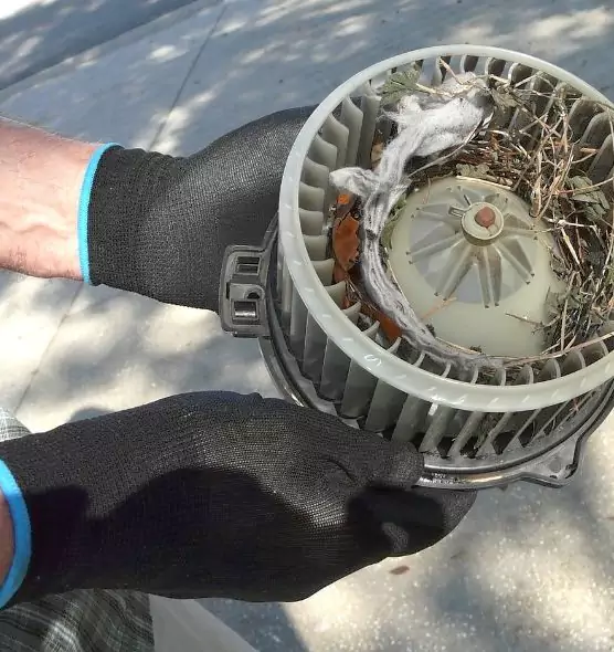 About Air Duct Mice Removal in Atlantic City, NJ