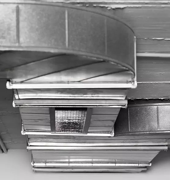 Professional Air Duct Pest Removal in Atlantic City, NJ