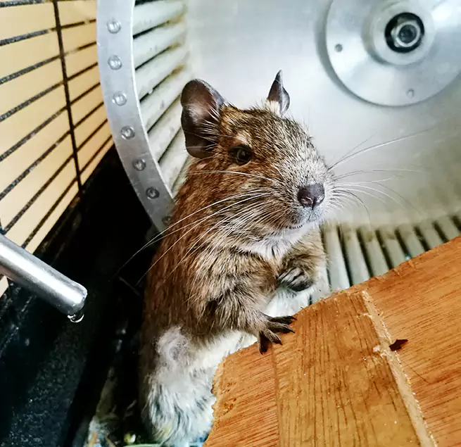 Why Homeowners & Businesses Trust Us Atlantic City, NJ?