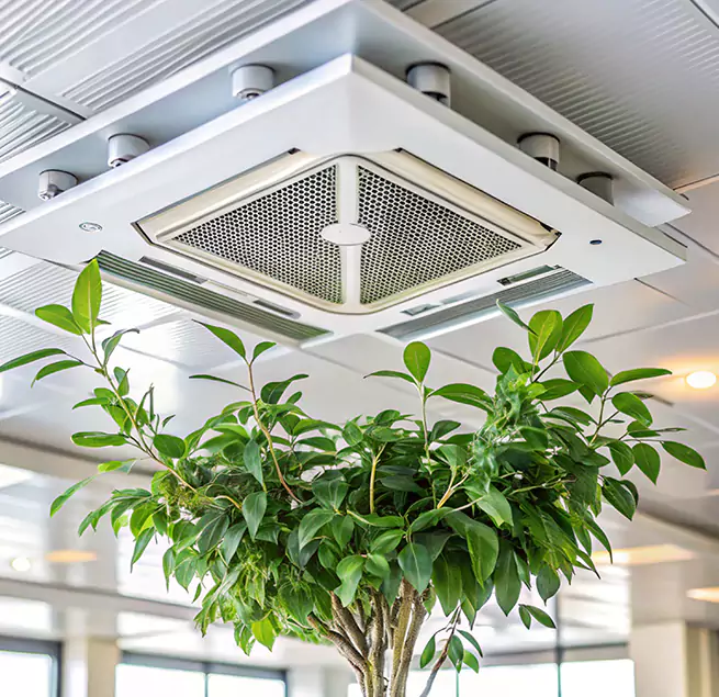 Why Homeowners & Businesses Trust Us in Atlantic City, NJ?