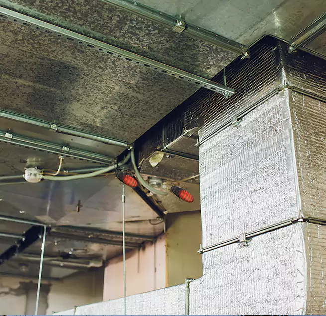 Why Homeowners & Businesses Trust Us Atlantic City, NJ?